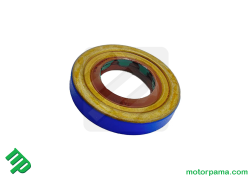paraolio polaris 3234892 ()